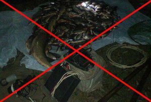 наказание за использование электроудочки