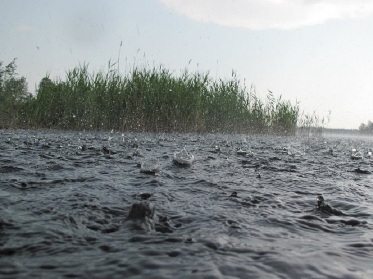 Дождь на реке