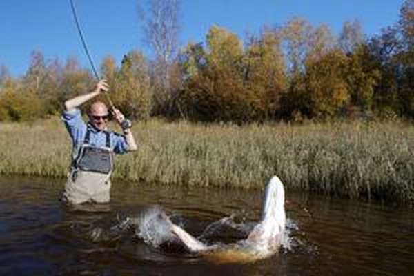 Лучшее время для рыбалки