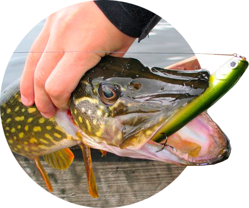 Приманки для щуки на спиннинг