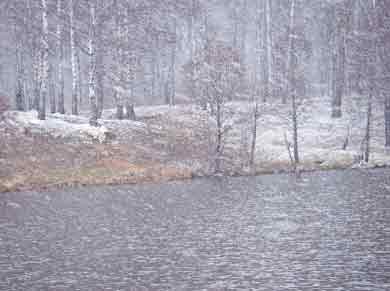 Погода и поведение рыбы.