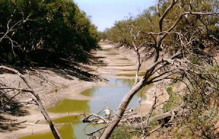 Пересохшая река