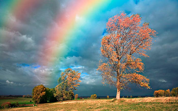 природные явления