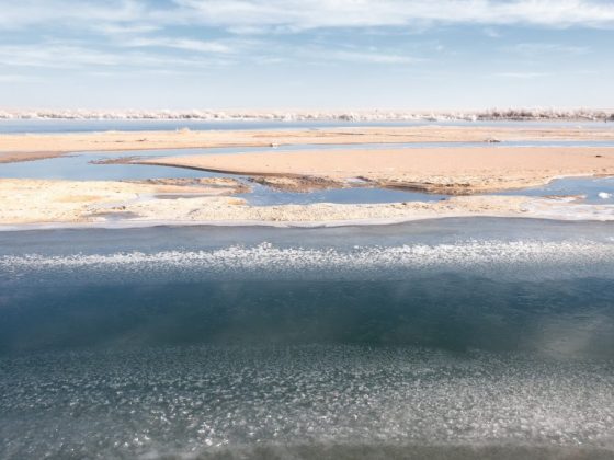 Тёплую погоду можно предсказать