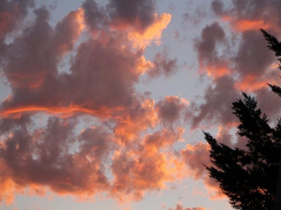 Известные приметы погоды на май