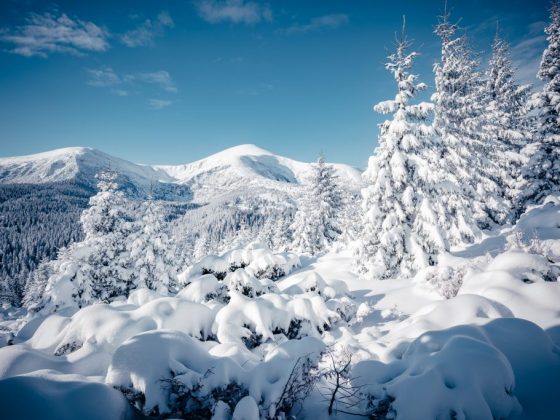 Снег в Рождество сулит хороший урожай
