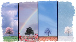 Приметы о природе