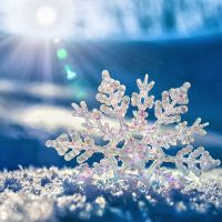 приметы холодной зимы