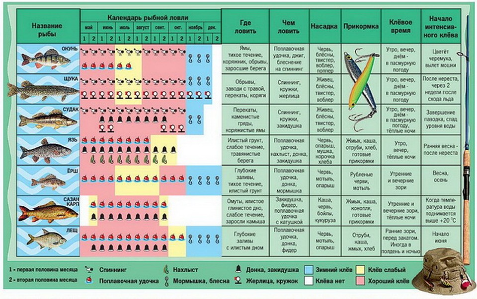 Прогноз рыбного клева в чувашии