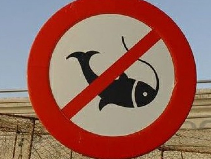 Сроки запрета на рыбалку в регионах РФ в 2018 году