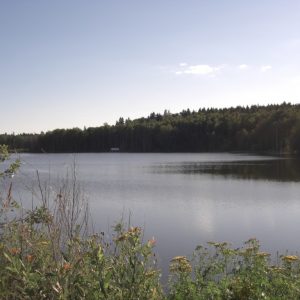 Рыбалка в Брянской области платно