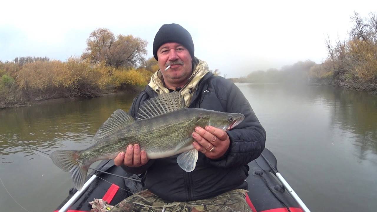 Рыбалка на иртыше, какая рыба водится в районе демьянского, тобольска, тугалово