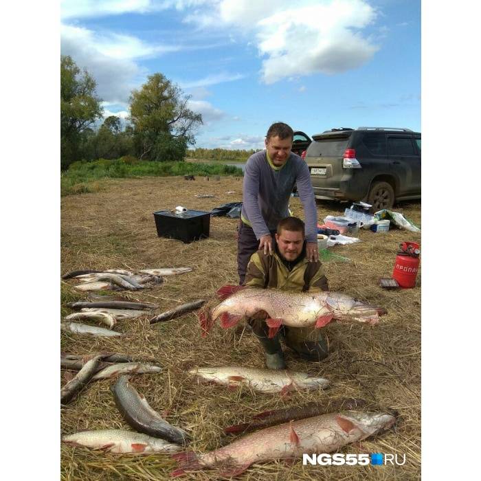 Какая рыба есть в реке ишим - рыбалка