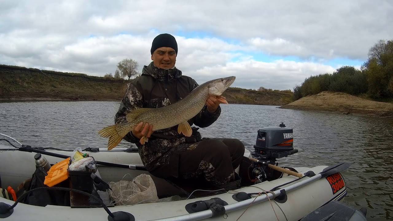 Рыбалка на пахке: какая рыба водится, ловля на реке в районе ям