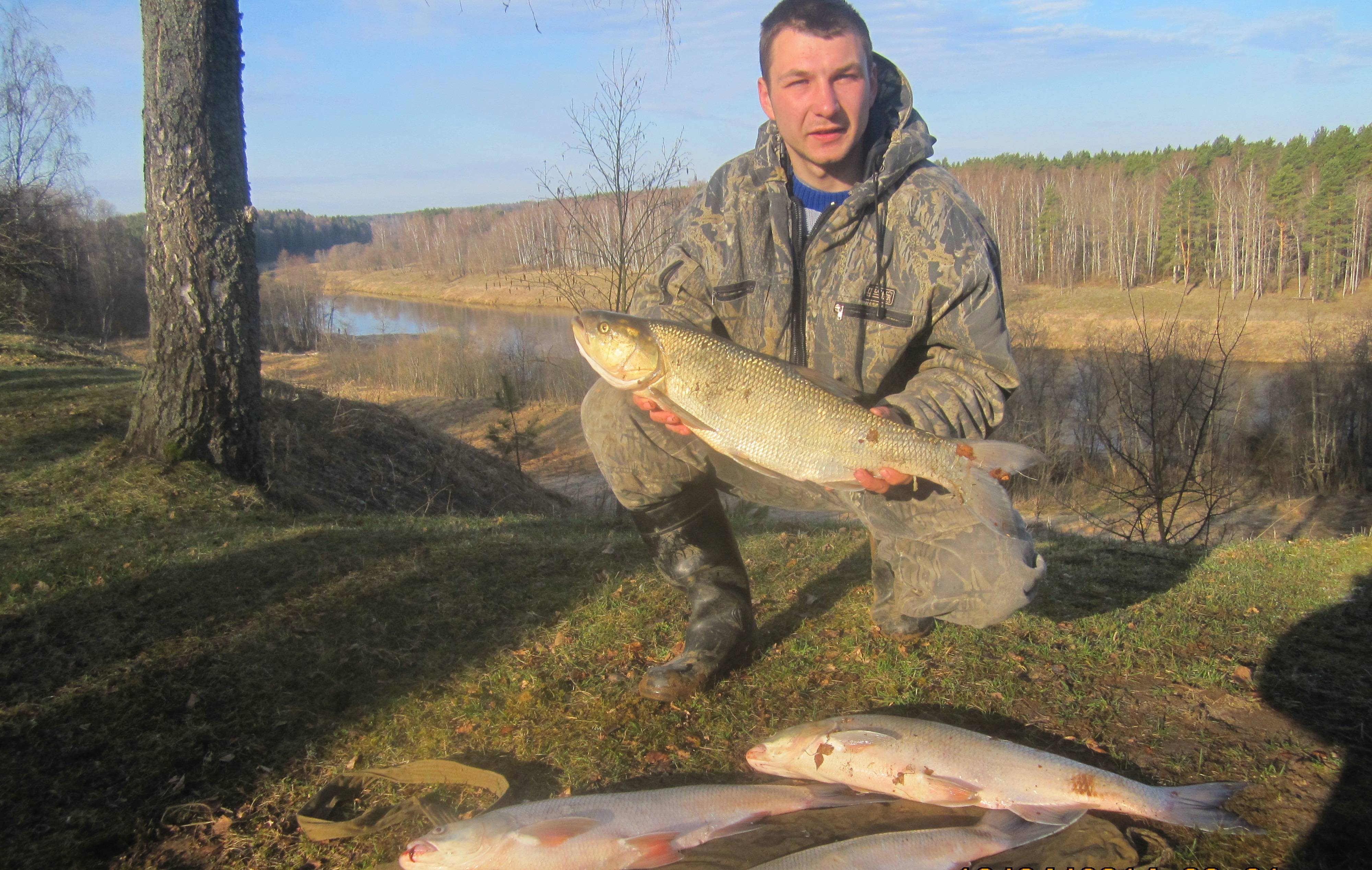 Рыбалка на реке ишим: каталог рыболовных туров