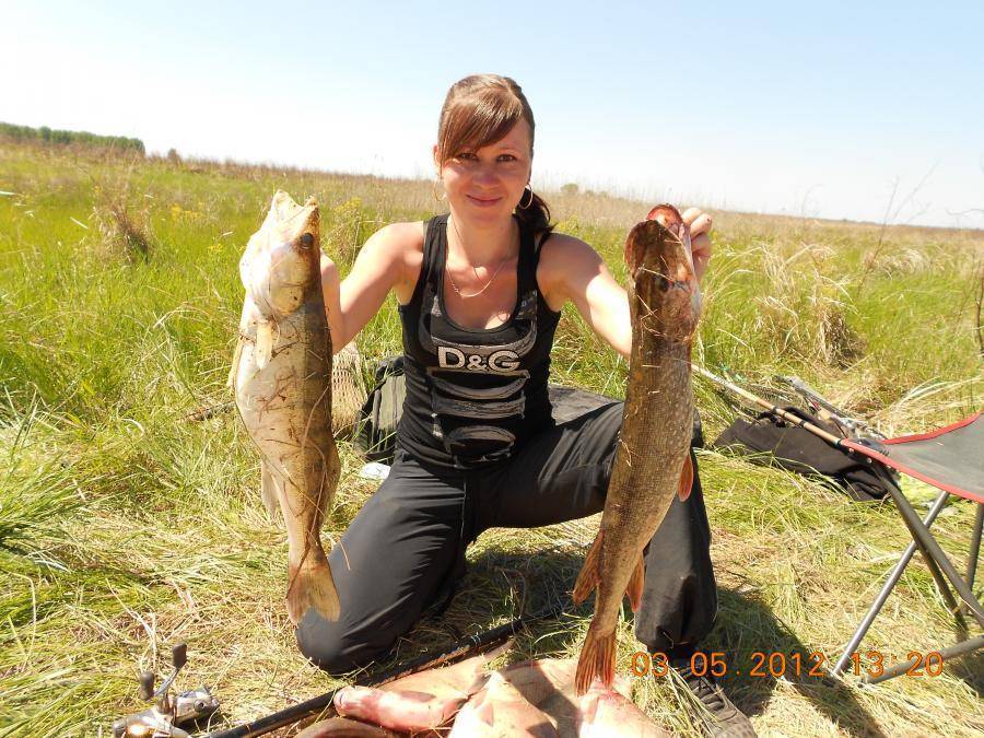 Какая рыба есть в реке ишим