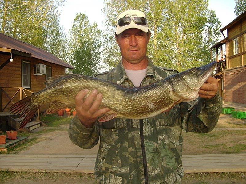 Рыболовные базы в каралате на карте: рейтинги и отзывы на лучшие рыболовные базы каралата 2020