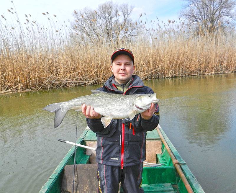 Рыболовно-охотничья база &laquo;клевое место&raquo; камызякский район, в астраханской области - цены 2020, фото, отзывы