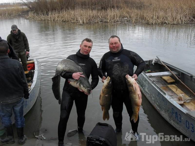 Рыболовно-охотничья база остров колочный - фотографии, цены, прайс, услуги, отзывы, бронирование. камызякский район астрахань. 2020
