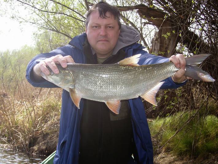 Рыболовная база &laquo;водники&raquo; камызякский район, в астраханской области - цены 2020, фото, отзывы