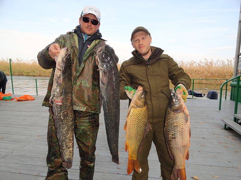 Рыболовные базы в камызякском районе астраханской области