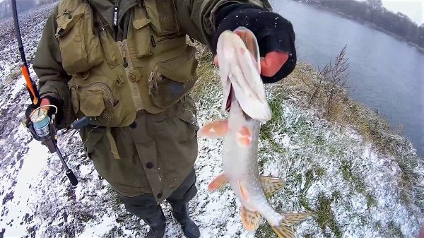 Рыбак со щукой