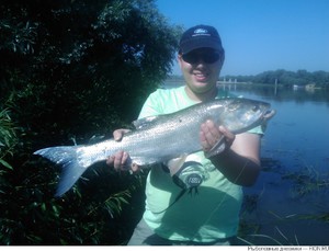 Чем отличается рыбалка в Коломне