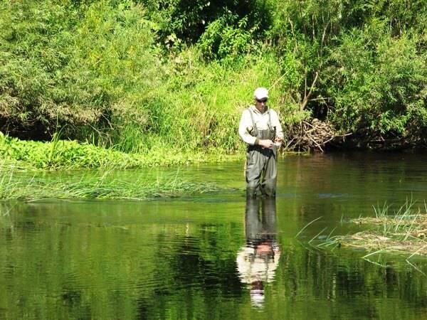 Рыбалка на реке Шелонь