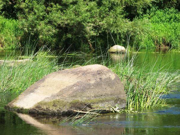 Рыбалка на реке Шелонь