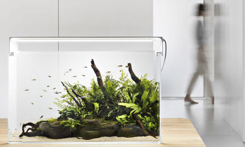 Декоративное оформление аквариума