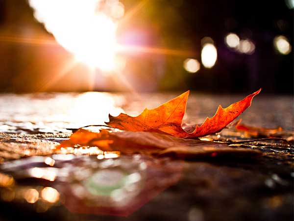 Статусы про осень и грустное настроение