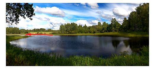 Клев рыбы зависит от состояния водоема фотография