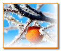 Зимние народные приметы января