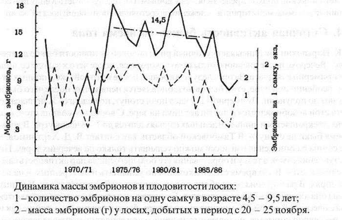 Гон лосей охота на вабу