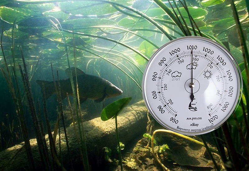  Атмосферное давление для рыбалки