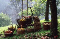 Народные приметы на август 2015 года