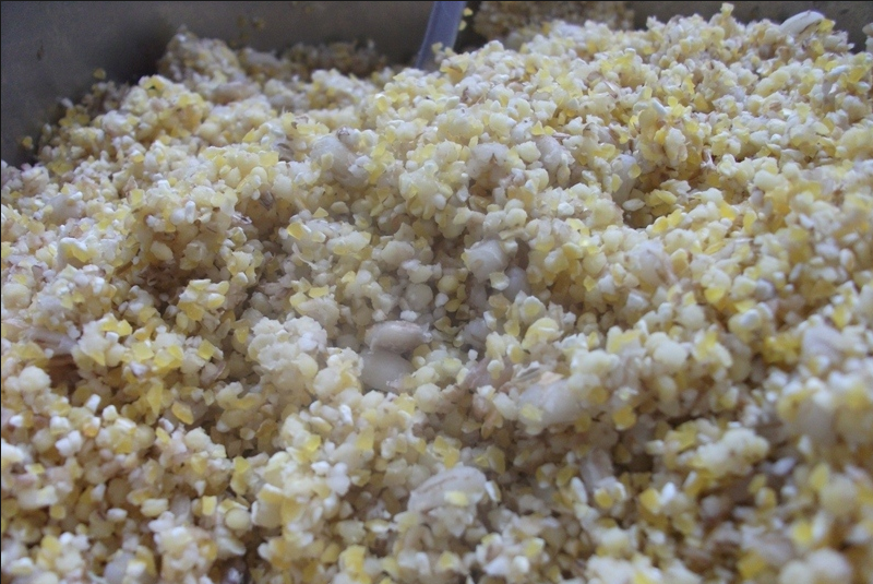 каша на леща