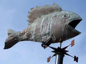 Влияние ветра на клев карпа