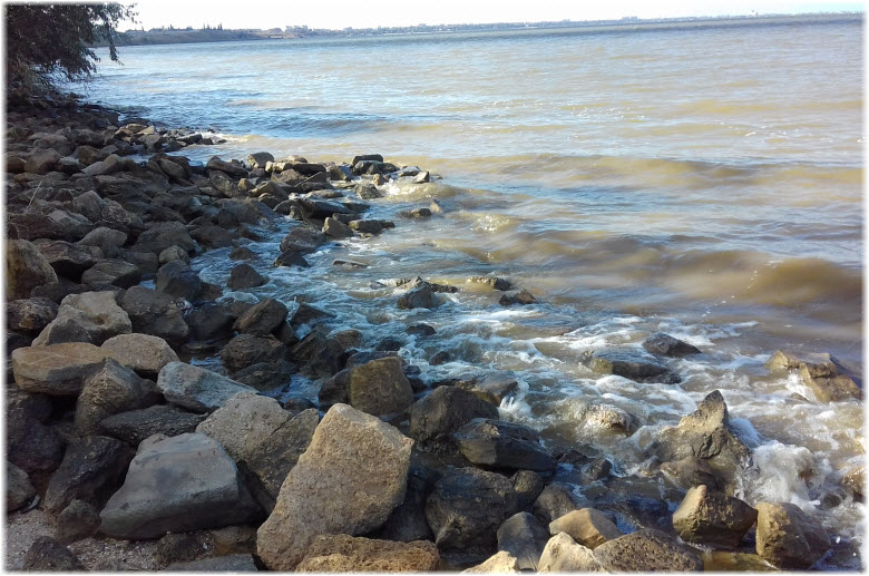 камни на берегу Ейского лимана