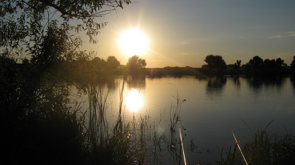 Пруд Николаевка