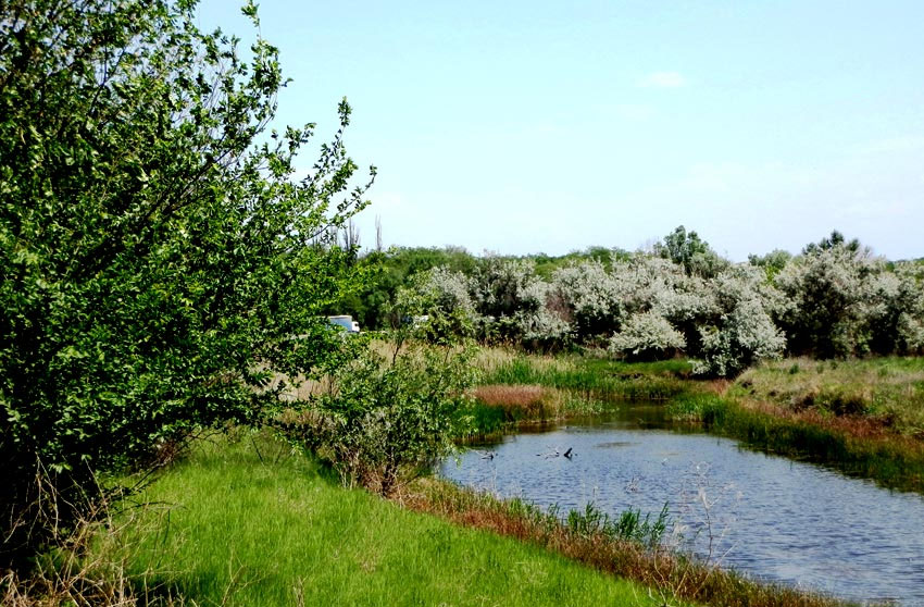 Обуховка (Кировское)