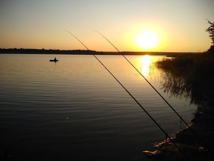 Николаевка