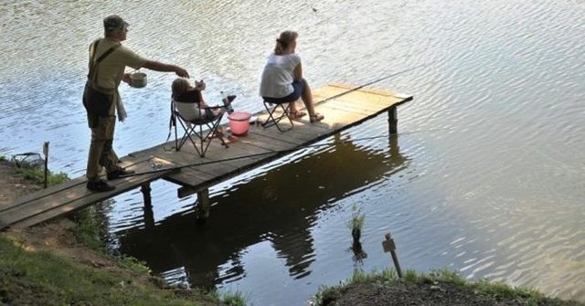 График клева рыбы: на что ловить рыбу и какую, как клюет рыба и где