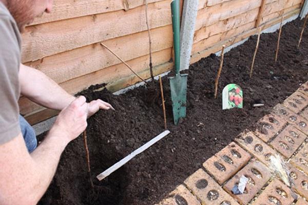 схемы посадок