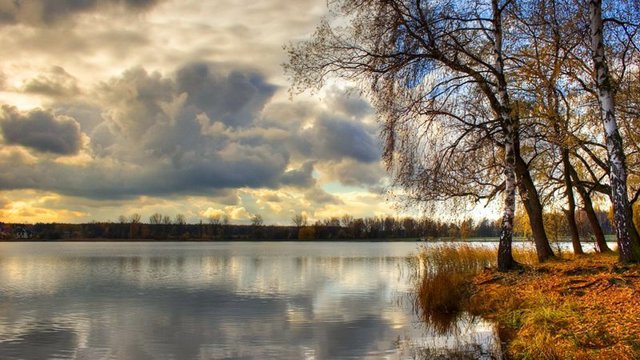 Какое давление для рыбалки лучше зимой: лучшая погода, направление ветра