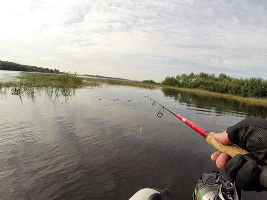 Какое давление для рыбалки лучше зимой: лучшая погода, направление ветра