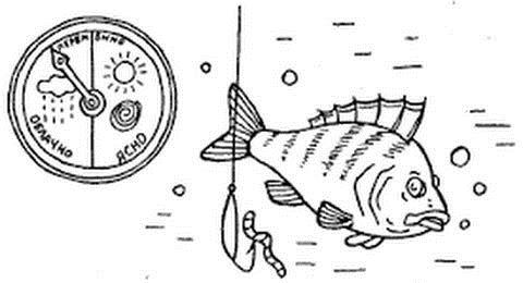 Какое давление для рыбалки лучше зимой: лучшая погода, направление ветра