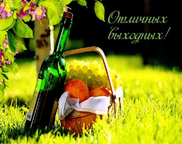 Картинки, гифки "Хороших выходных и отличного настроения", 100 шт.