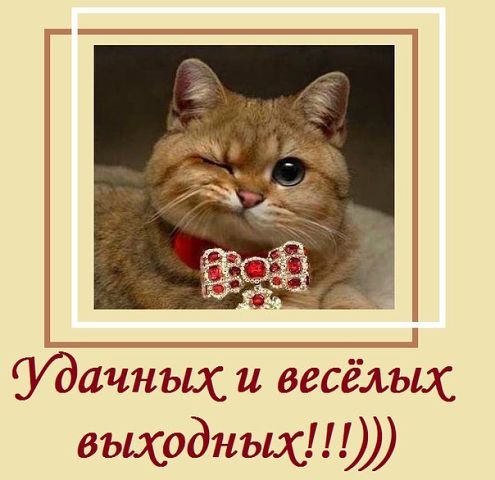 Картинки, гифки "Хороших выходных и отличного настроения", 100 шт.