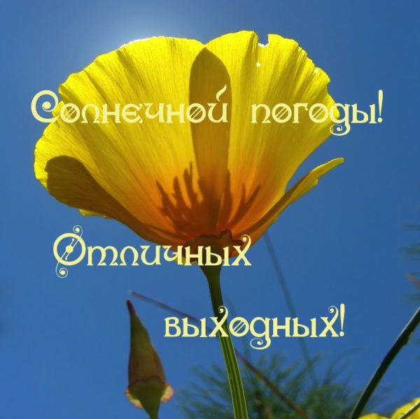 Картинки, гифки "Хороших выходных и отличного настроения", 100 шт.